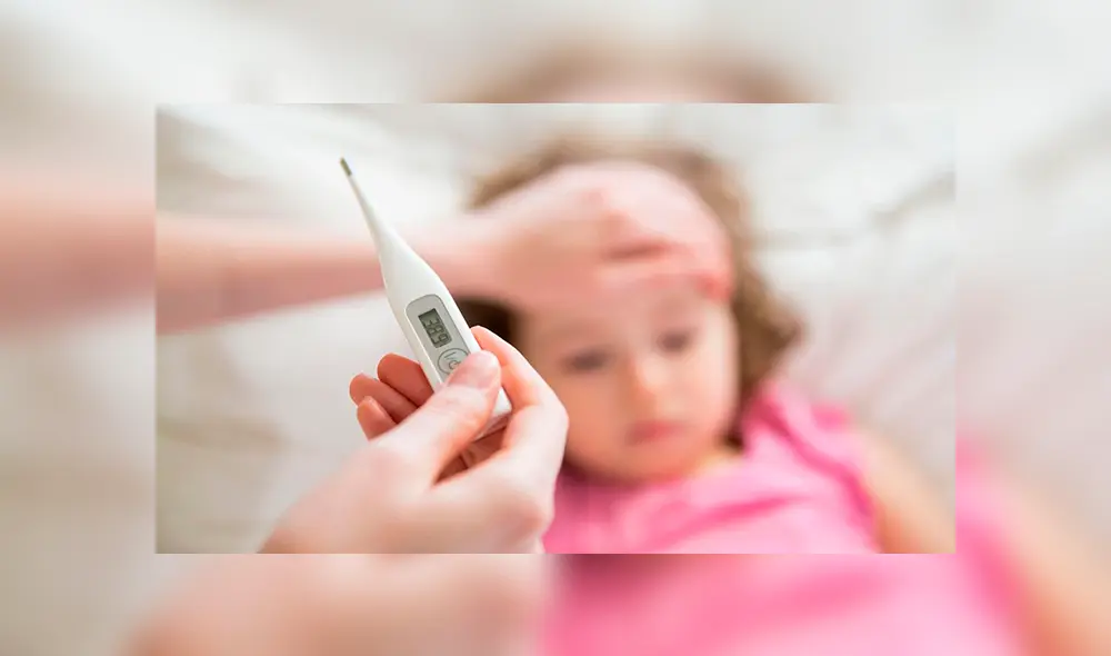 Ameba 'come cerebros': ¿Qué es, cuáles son los síntomas y cómo se contagia?