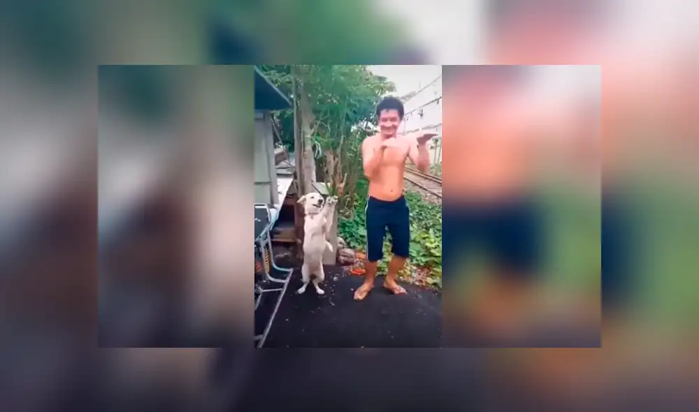 Desliza las imágenes hacia la izquierda para apreciar los pasos de bailar que realizó un perro junto a su dueño.