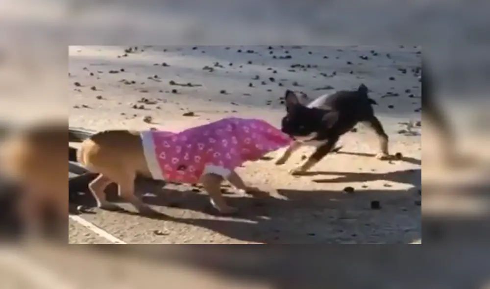 Desliza para ver los detalles del video viral publicado en YouTube. Foto: Captura. Desliza para ver los detalles del video viral publicado en YouTube. Foto: Captura.