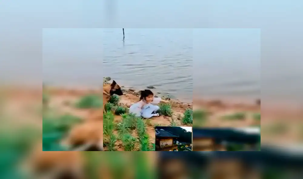 Facebook viral: niña se aproxima a peligroso río para sacar pelota y su perro llega a su rescate [VIDEO] 