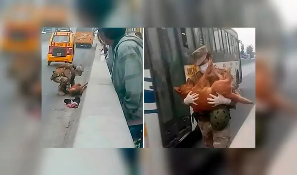 Soldado salvó la vida del perro callejero. Foto: Captura/ Composición. Soldado salvó la vida del perro callejero. Foto: Captura/ Composición.