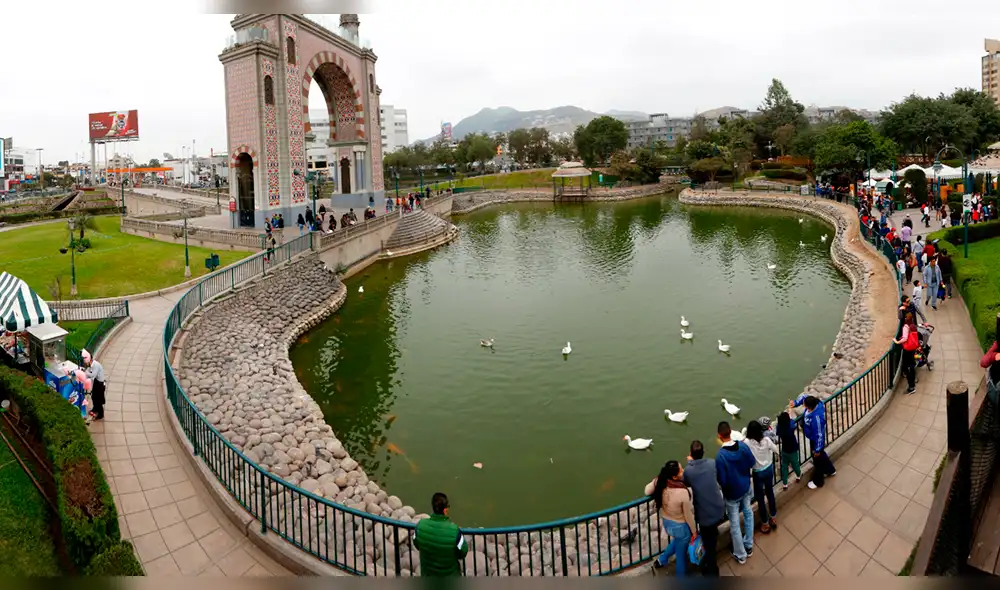 Surco: Patos del Parque de la Amistad fueron degollados [VIDEO] 