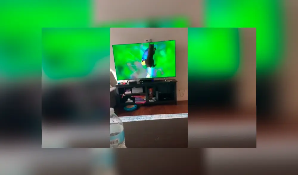 Desliza las imágenes para conocer la travesura que cometió un gato al saltar encima de la televisión de su dueño. Foto: Captura. Desliza las imágenes para conocer la travesura que cometió un gato al saltar encima de la televisión de su dueño. Foto: Captura.