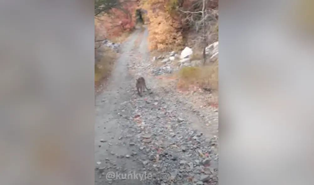 Desliza hacia la izquierda para ver las imágenes del video viral. Foto: Captura de Facebook. Desliza hacia la izquierda para ver las imágenes del video viral. Foto: Captura de Facebook.