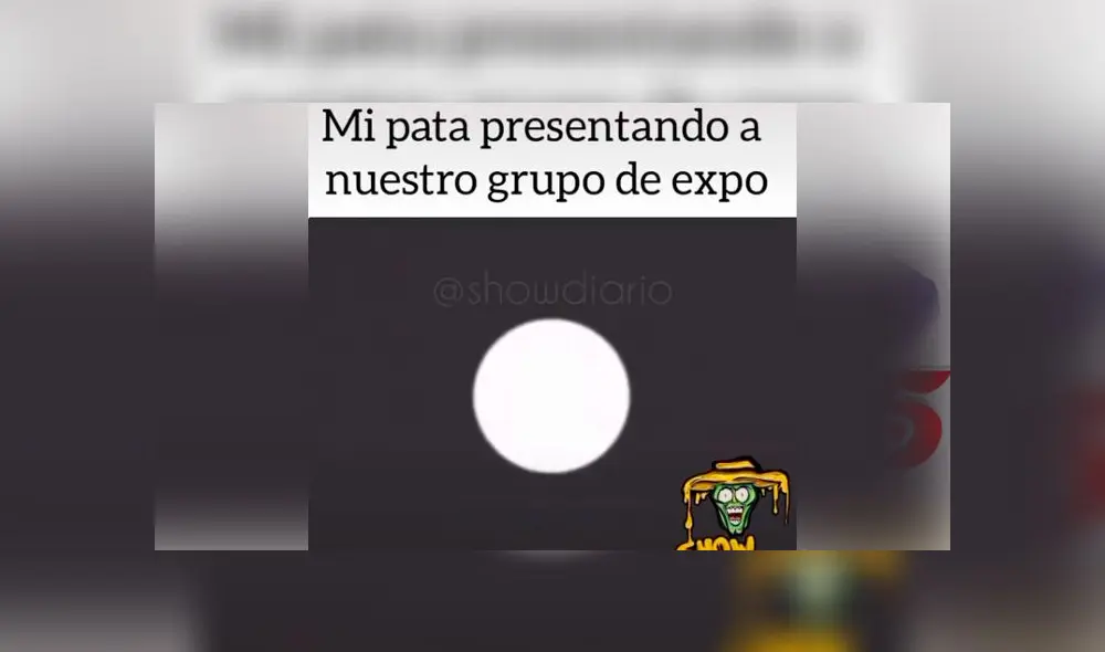 Desliza las imágenes para conocer un poco más de lo que pasó con este joven bromista en plena clase virtual. Foto: TikTok Desliza las imágenes para conocer un poco más de lo que pasó con este joven bromista en plena clase virtual. Foto: TikTok