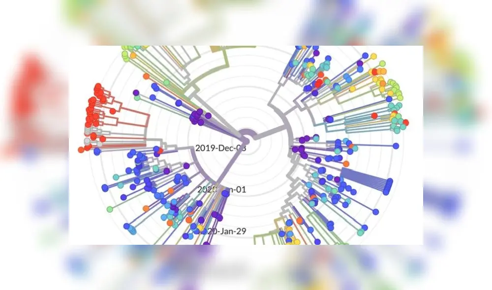 Coronavirus y secuencia genética