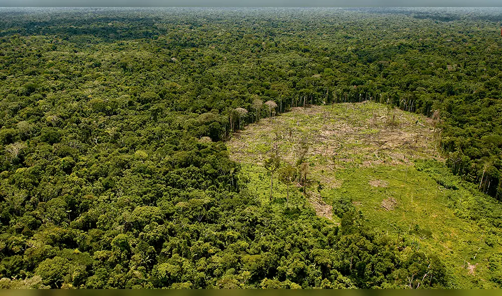 Deforestación en Ucayali