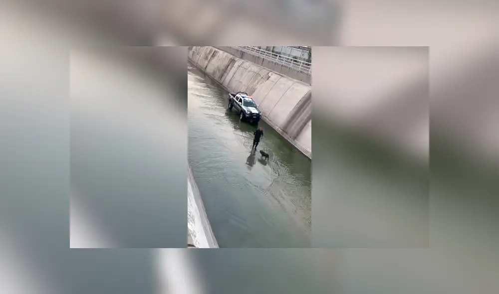 Desliza las imágenes hacia la izquierda para conocer la valerosa acción de un policía para salvar a un perro. Desliza las imágenes hacia la izquierda para conocer la valerosa acción de un policía para salvar a un perro.