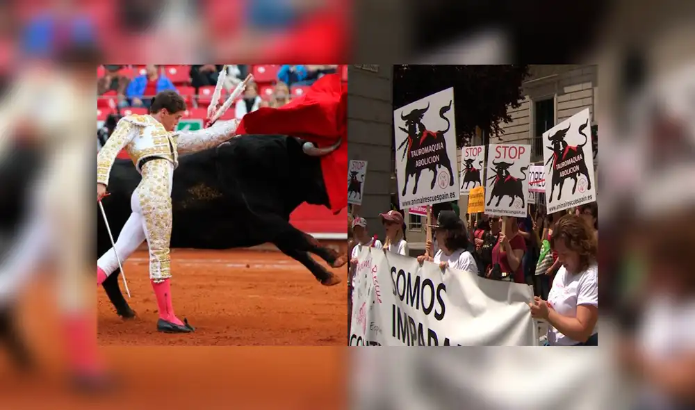 Opiniones dividas tras el fallo del TC.