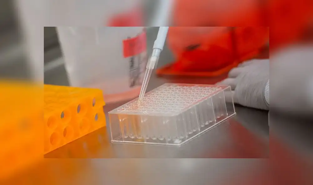 La científica en jefe de la OMS, Soumya Swaminathan, dijo que una vacuna contra la COVID-19 apresurada incluso podría dificultar continuar con los ensayos clínicos aleatorios. Foto: AFP La científica en jefe de la OMS, Soumya Swaminathan, dijo que una vacuna contra la COVID-19 apresurada incluso podría dificultar continuar con los ensayos clínicos aleatorios. Foto: AFP