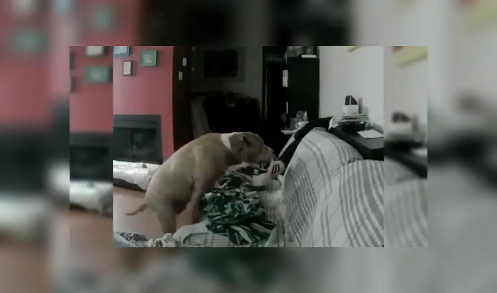 Avanza para ver los detalles del video viral publicado en YouTube. Foto: Captura.