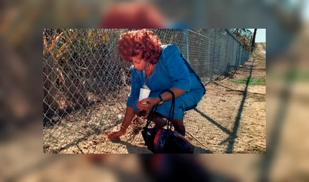 Celia Cruz cogiendo tierra cubana en la Base Naval. (Foto: Miami Herald)