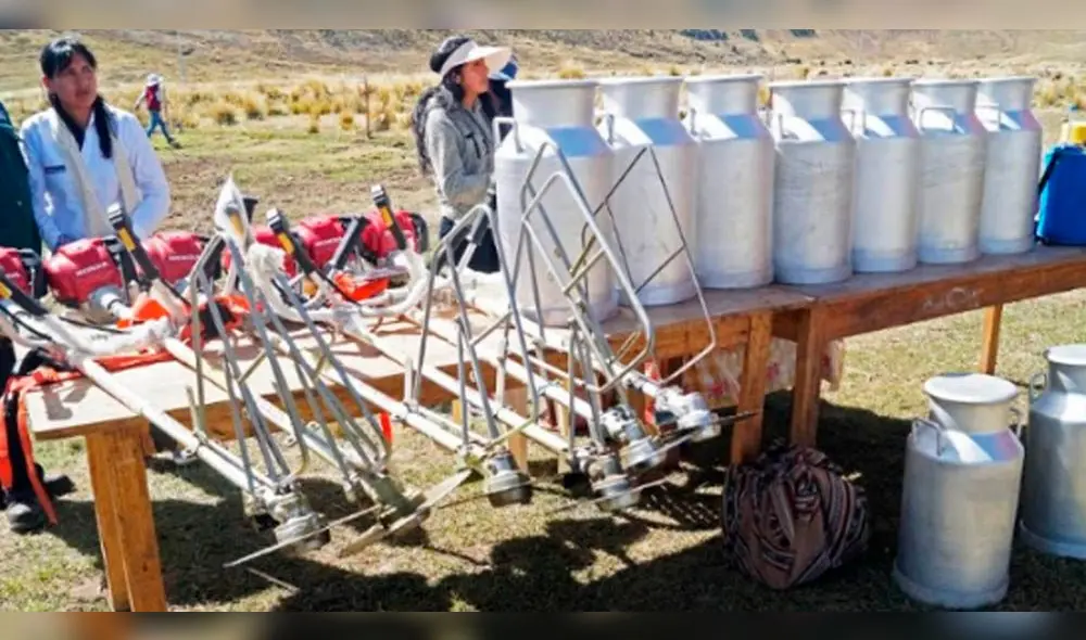 Puno: Treinta mini establos y riego tecnificado mejorarán producción de leche en Muñani Puno: Treinta mini establos y riego tecnificado mejorarán producción de leche en Muñani