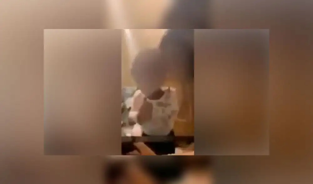 Los padres del menor fueron avisados por la Policía sobre el hecho. Fuente: captura de pantalla.