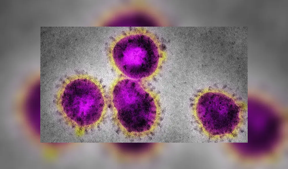 Partículas de SARS-CoV bajo microscopio electrónico. Crédito: CDC.