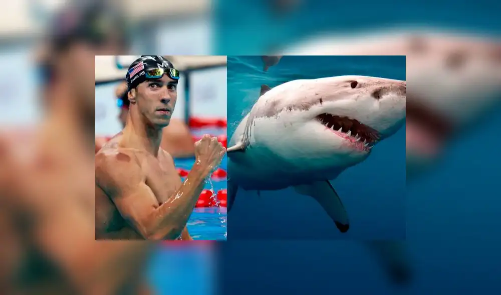 Michael Phelps nadará contra un tiburón blanco