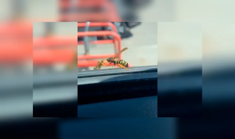 Desliza la imagen compartida en Facebook para ver todas las fotos. Desliza la imagen compartida en Facebook para ver todas las fotos.