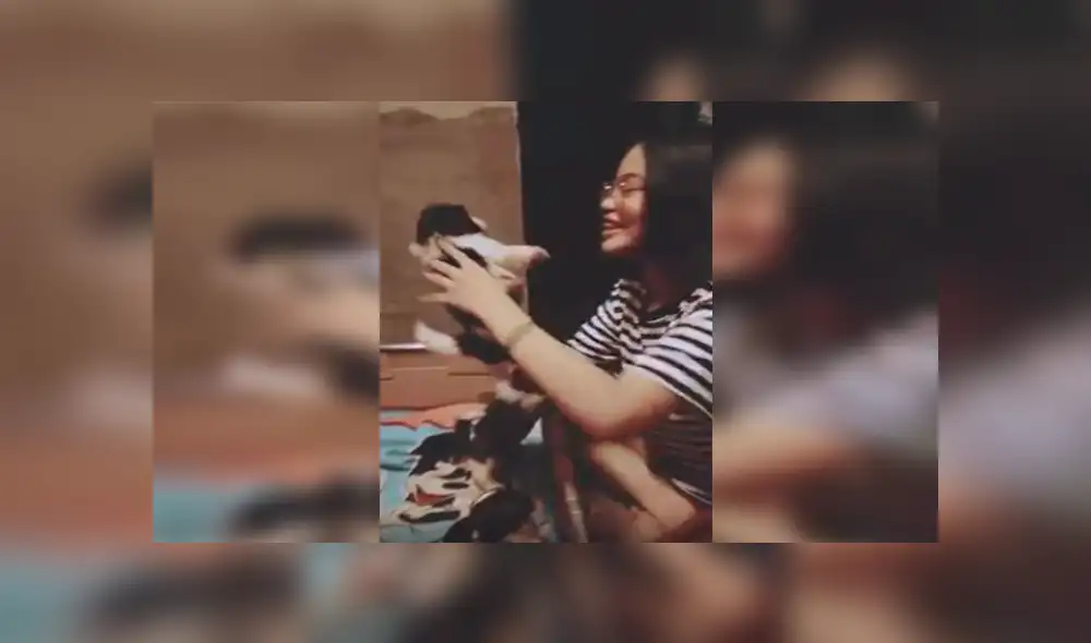 En Facebook, una joven aplicó un truco para hacer dormir a sus traviesos perros y asombró con el resultado.