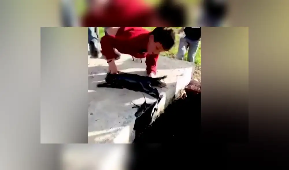 Desliza a la izquierda para ver las imágenes del valiente rescate. (Foto: captura)