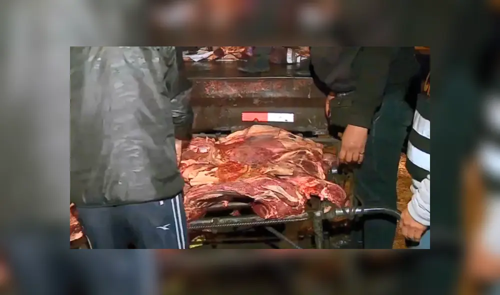 Carne de equino Carne de equino