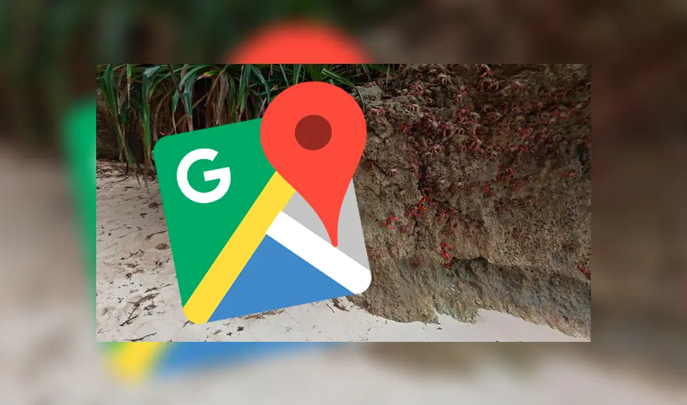 Google Maps: cámaras cantan a miles de cangrejos atacando a una muchacha [FOTOS]