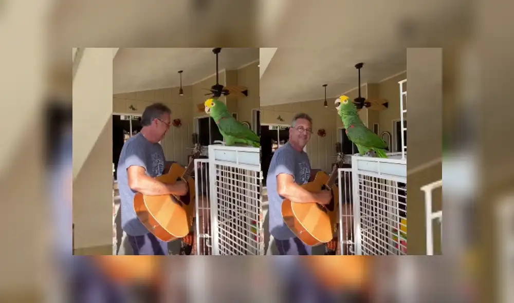 Desliza hacia la izquierda para ver más del video viral. Fotocaptura: Facebook