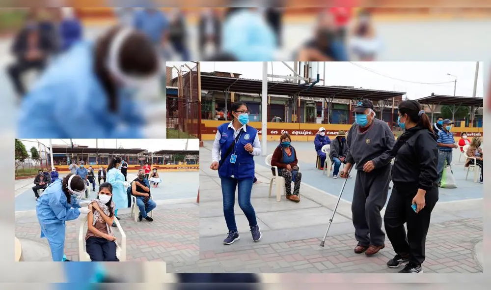 coronavirus coronavirus