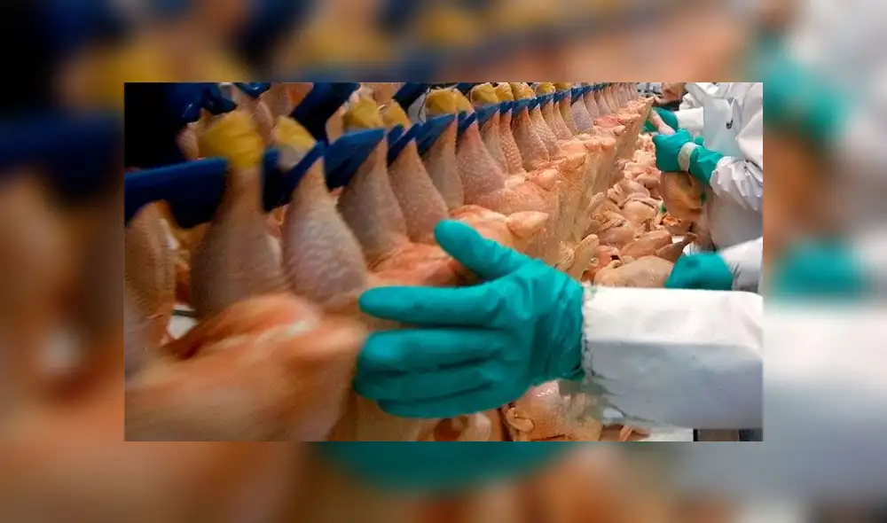 China es uno de los compradores más activos de pollos congelados que tiene Brasil. Foto: Difusión. China es uno de los compradores más activos de pollos congelados que tiene Brasil. Foto: Difusión.
