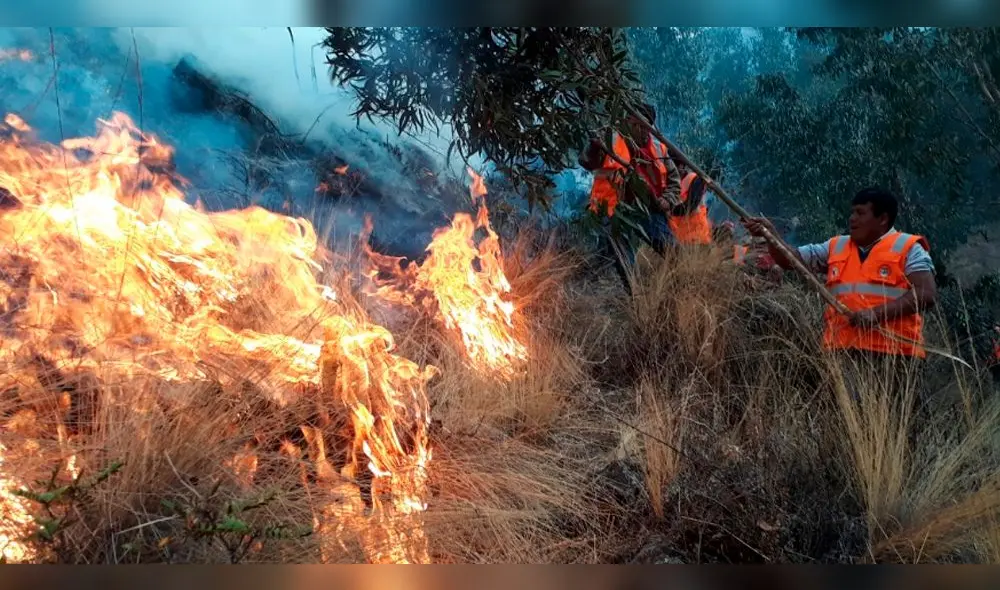 Anciana provocó incendio forestal que se prolongó por más de 30 horas. Anciana provocó incendio forestal que se prolongó por más de 30 horas.