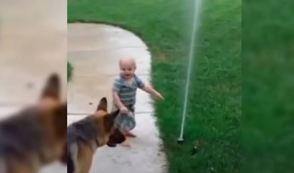 Desliza para ver las mejores imágenes del video viral de Facebook. Foto: Captura/Amanpreet Singh