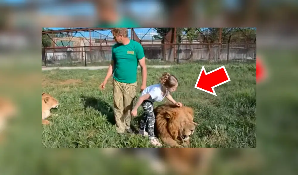 YouTube viral: Niña entra a calabozo de leones y la reacción de estos deja impactados a todos [VIDEO]