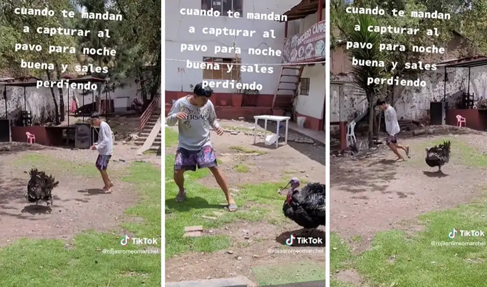 El clip ha logrado más de 600.000 reproducciones en TikTok. Foto: composición LR/captura de TikTok/@rojasromeomarchel El clip ha logrado más de 600.000 reproducciones en TikTok. Foto: composición LR/captura de TikTok/@rojasromeomarchel