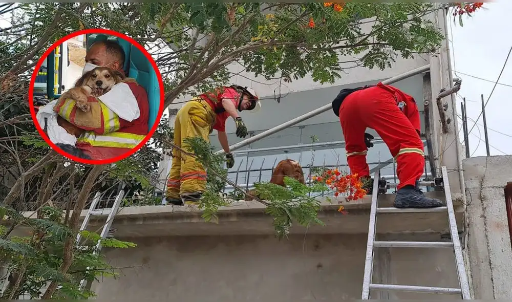 Bomberos hicieron un llamado a la ciudadanía para evitar este uso. Foto: composición LR/Bomberos Piura 25