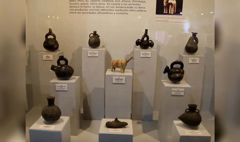 Museo Arqueológico de Áncash vuelve abrir sus puertas al público