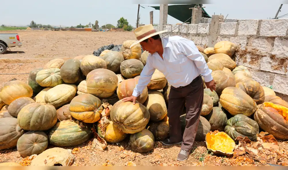 Ley Agraria no significó un avance notable en la reducción de la pobreza