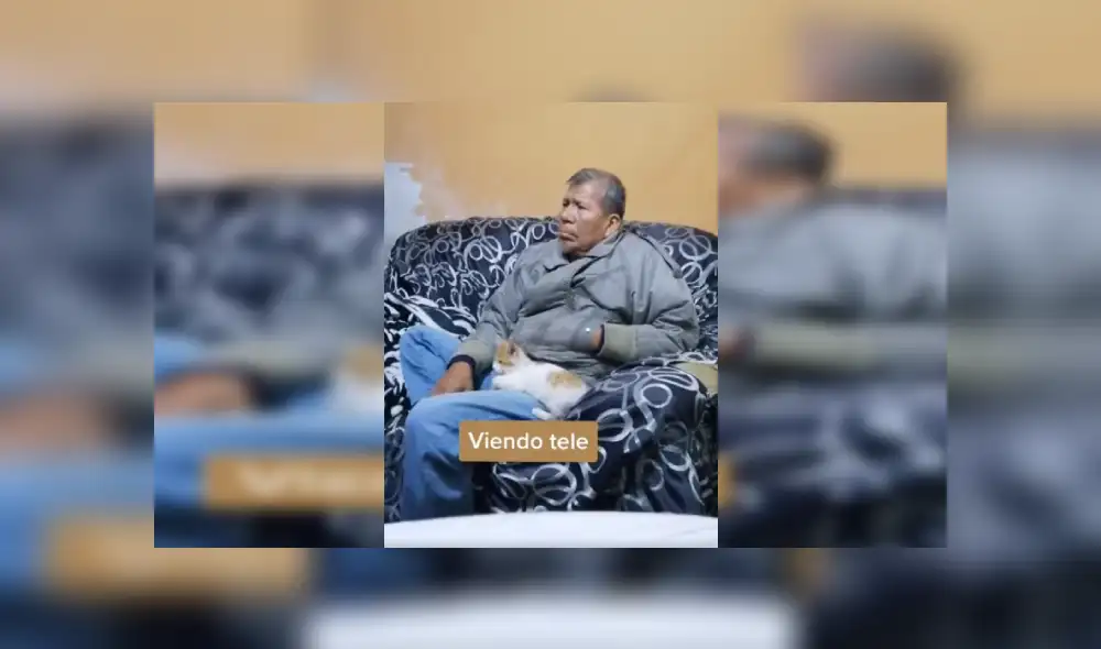 Desliza las imágenes hacia la izquierda para conocer la amorosa amistad de un señor con un pequeño gato. Foto: Captura. Desliza las imágenes hacia la izquierda para conocer la amorosa amistad de un señor con un pequeño gato. Foto: Captura.