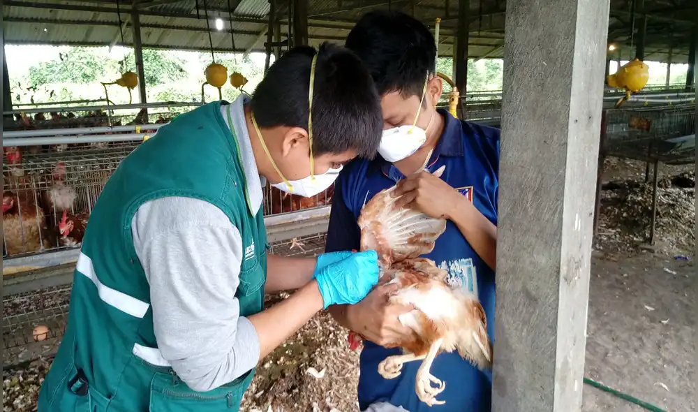 Halloween: Monstruos en la Agricultura 