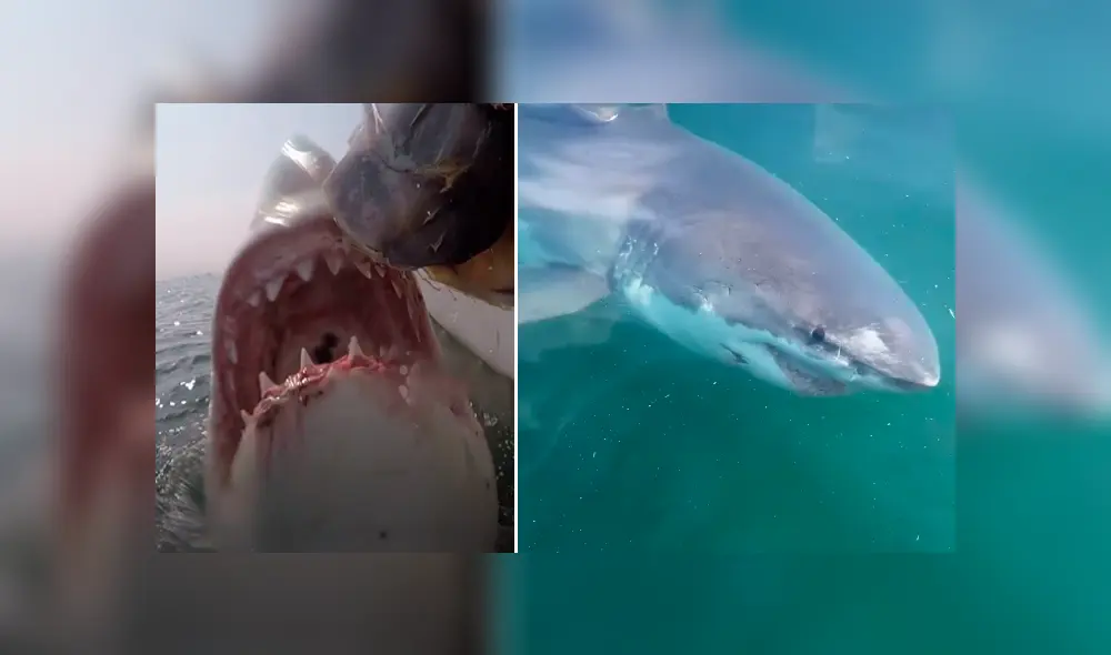 Si quieres ver lo que ocurrió en el video viral de Facebook, desliza cada imagen hacia la izquierda. Si quieres ver lo que ocurrió en el video viral de Facebook, desliza cada imagen hacia la izquierda.