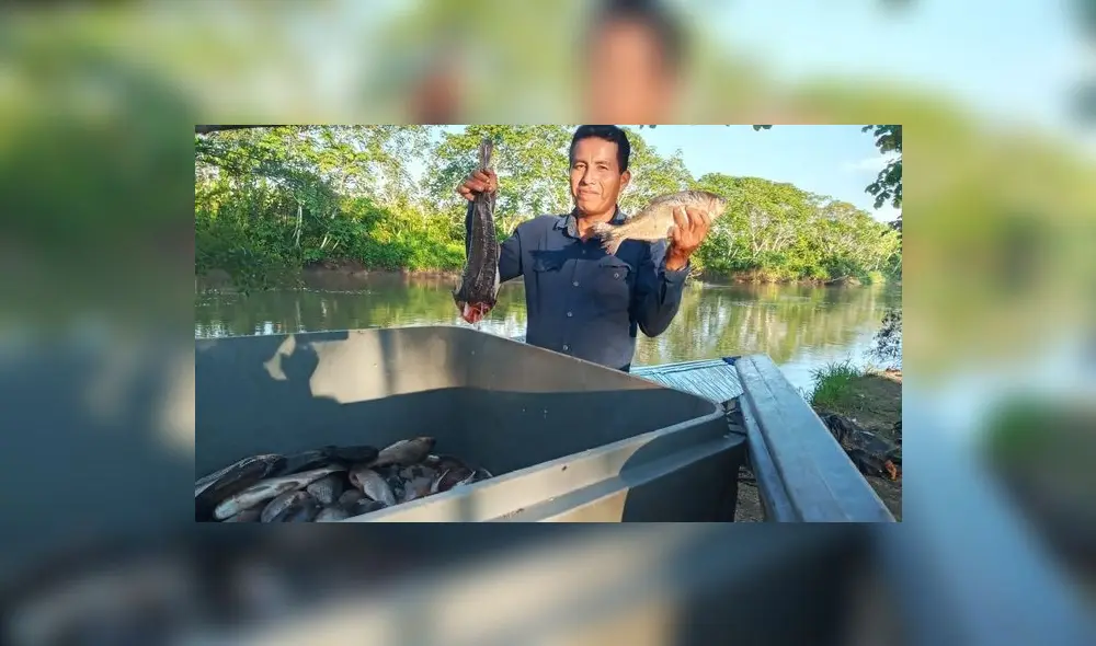 Universidades así como entidades privadas lideran diversos proyectos de investigación usando productos amazónicos para elevar la competitividad en Loreto. Foto: Internet