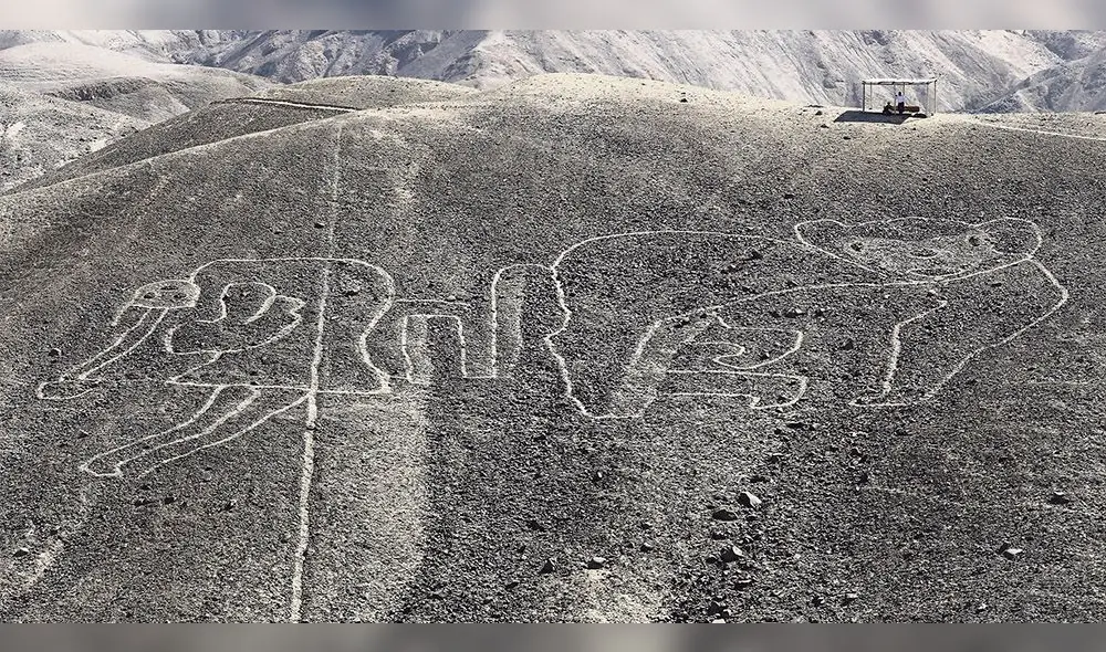 Hallan 50 geoglifos que son más antiguos que las líneas de Nasca