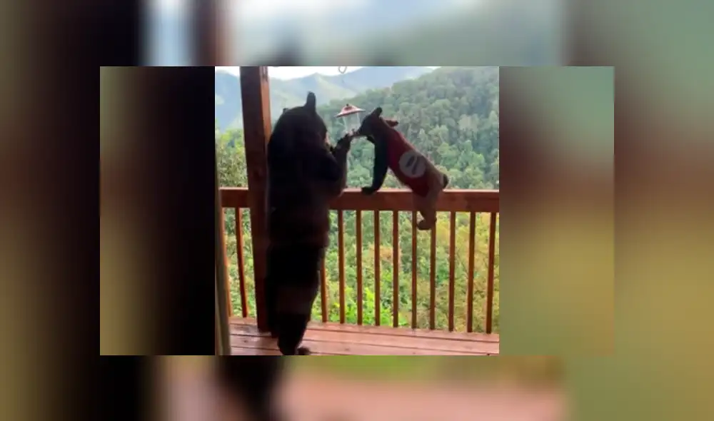 En lugar de huir por el pánico, la mujer se quedó junto a su hijo para ver a la familia de osos. Foto: captura En lugar de huir por el pánico, la mujer se quedó junto a su hijo para ver a la familia de osos. Foto: captura
