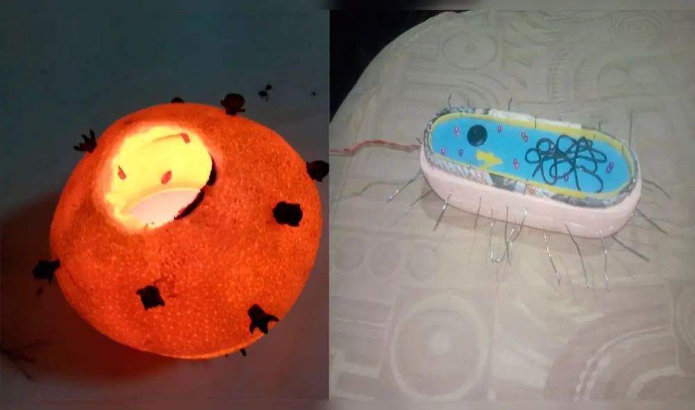 Proyectos presentados por alumnos talareños