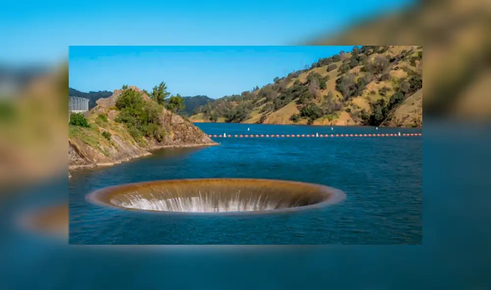 Facebook viral: ave es tragado por gigantesco pozo de agua y sobrevive a la caída [VIDEO]