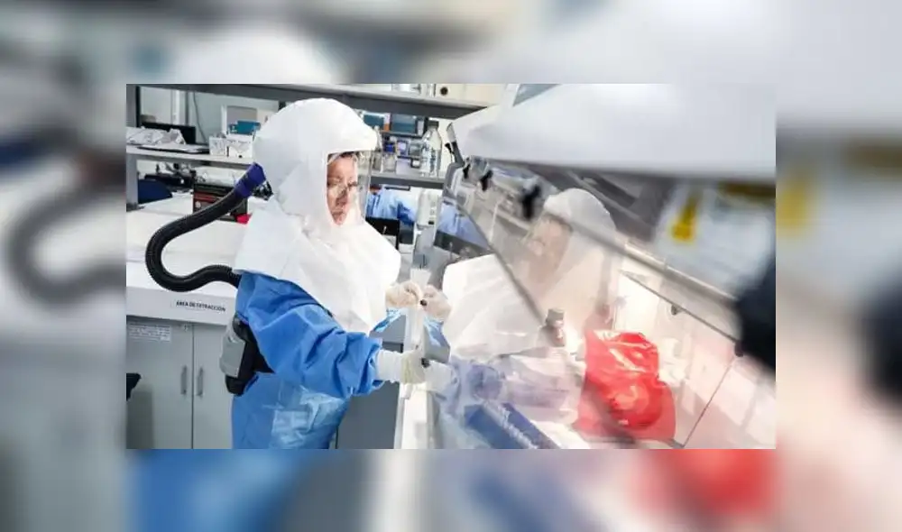 Proyecto San Marcos. Créditos: Andina. Proyecto San Marcos. Créditos: Andina.