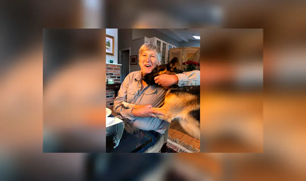 Desliza las imágenes hacia la izquierda para conocer la historia de una perrita que esperó el regreso de su dueño. Foto: El Dodo. Desliza las imágenes hacia la izquierda para conocer la historia de una perrita que esperó el regreso de su dueño. Foto: El Dodo.