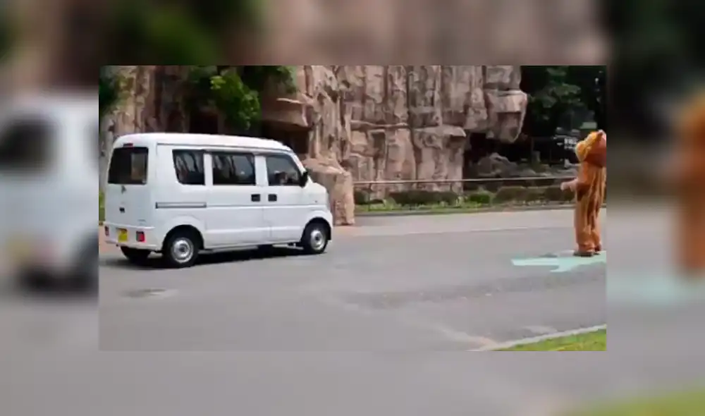 Trabajador de un zoológico ingresó al santuario de leones. Trabajador de un zoológico ingresó al santuario de leones.