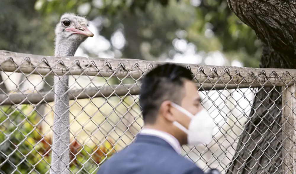 animales parque de las leyendas