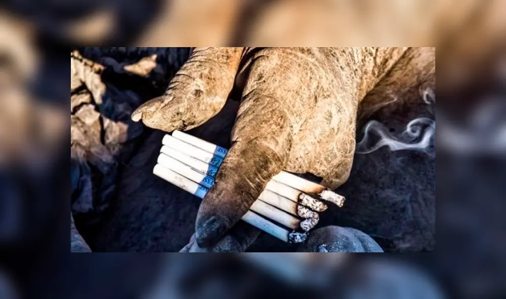 Desliza para ver el aspecto de este hombre que dejó sin palabras a miles en Facebook. Foto: Captura. Desliza para ver el aspecto de este hombre que dejó sin palabras a miles en Facebook. Foto: Captura.