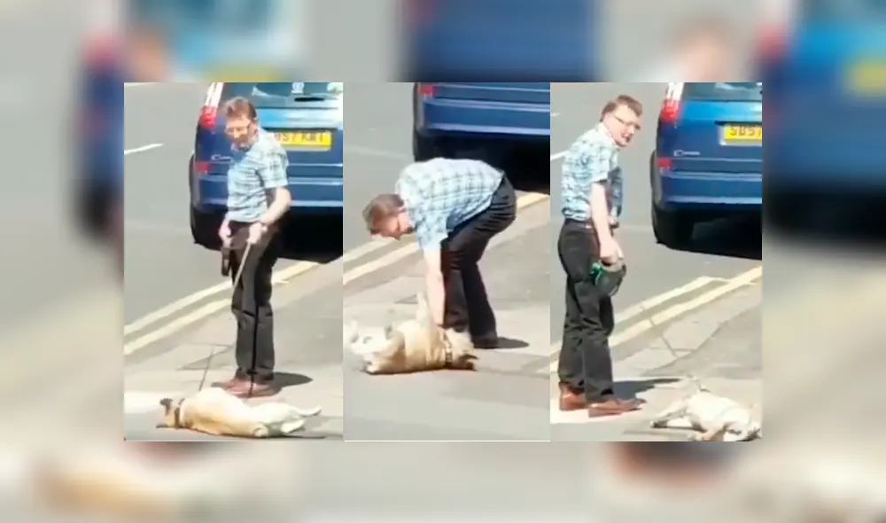 Video es viral en Facebook. El dueño del can no sabía qué hacer ante la singular conducta de su mascota cuando estaba a punto de cruzar la pista Video es viral en Facebook. El dueño del can no sabía qué hacer ante la singular conducta de su mascota cuando estaba a punto de cruzar la pista
