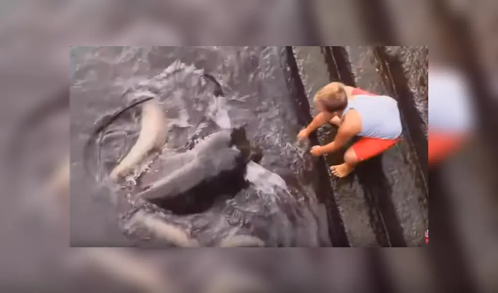 Desliza para ver detalles del video viral publicado en YouTube. Foto: Captura. Desliza para ver detalles del video viral publicado en YouTube. Foto: Captura.